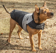 Touchdog Lightening-Shield Waterproof 2-in-1 Convertible Dog Jacket w/ Blackshark technology - Doggy Sauce