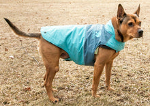 Touchdog Lightening-Shield Waterproof 2-in-1 Convertible Dog Jacket w/ Blackshark technology - Doggy Sauce