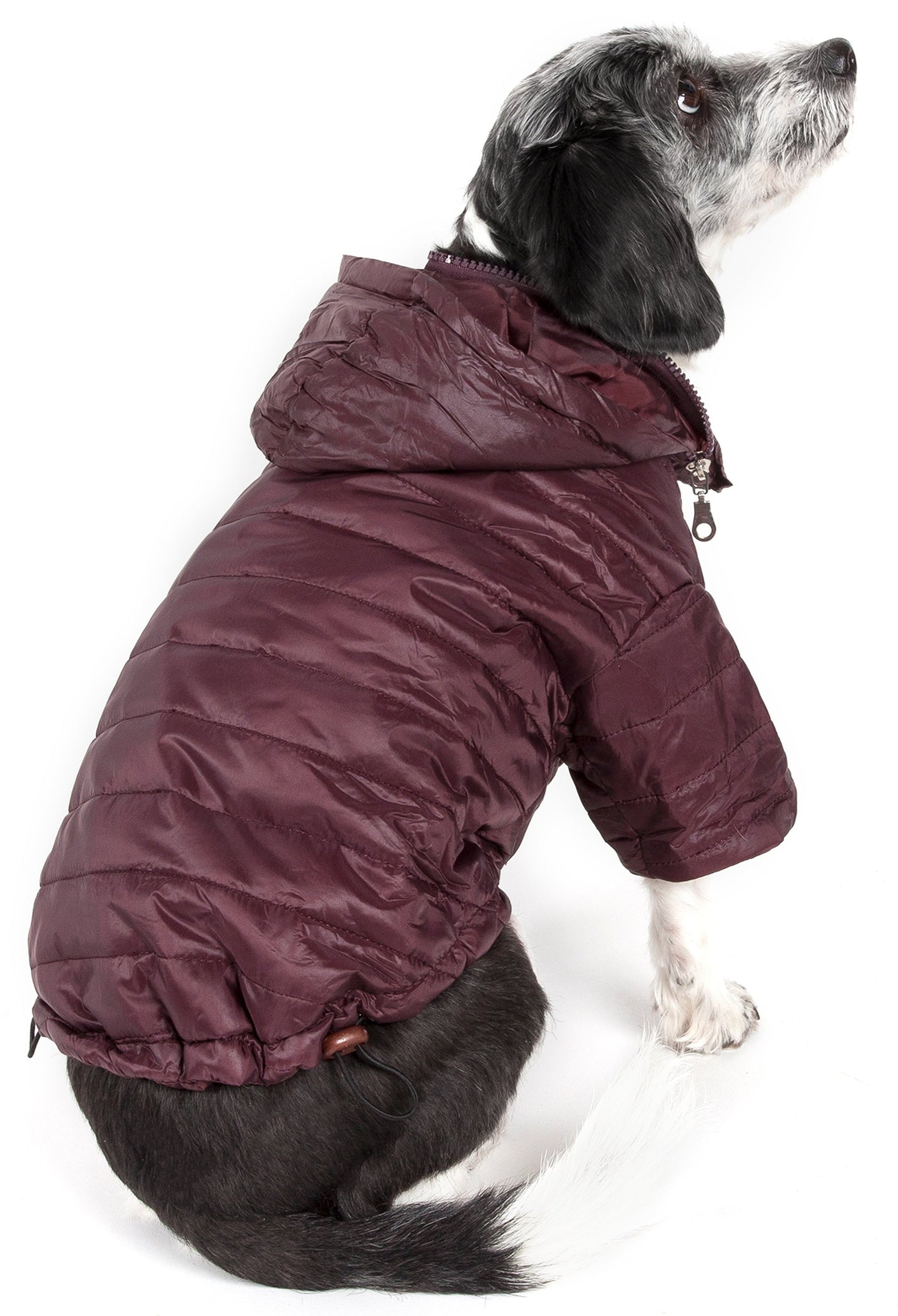 dog coats,dog jackets,dog coat,dog jacket,dog fashion,pet fashion,dog parka,pet parka,winter dog coat,designer dog jacket,insulated dog coat,pet coat,coat for dogs,dog clothes,pet life