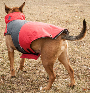 Touchdog Lightening-Shield Waterproof 2-in-1 Convertible Dog Jacket w/ Blackshark technology - Doggy Sauce