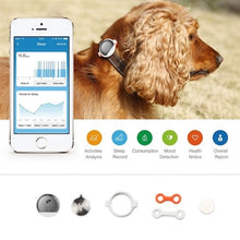 dog activity monitor,dog activity tracker,cat activity monitor,catctivity tracker,activity tracker,moon monitor,bluetooth monitor,dog bluetooth,smart dog tracker,dog tracker,dog monitor,pet health,GPS dog tracker,fitbit,petkit