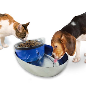 Pioneer Pet / SmartCat® Stainless Steel & Plastic Food + Water Station - Doggy Sauce