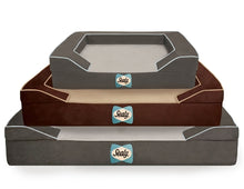 Sealy Dog Beds