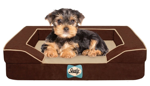 Sealy Dog Beds,pet bed