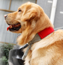 Pet Life Non-Shock Safe Anti-Bark Collar - Doggy Sauce
