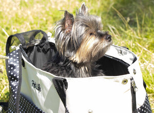 Pet Life Fashion Tote Spotted Pet Carrier - Doggy Sauce