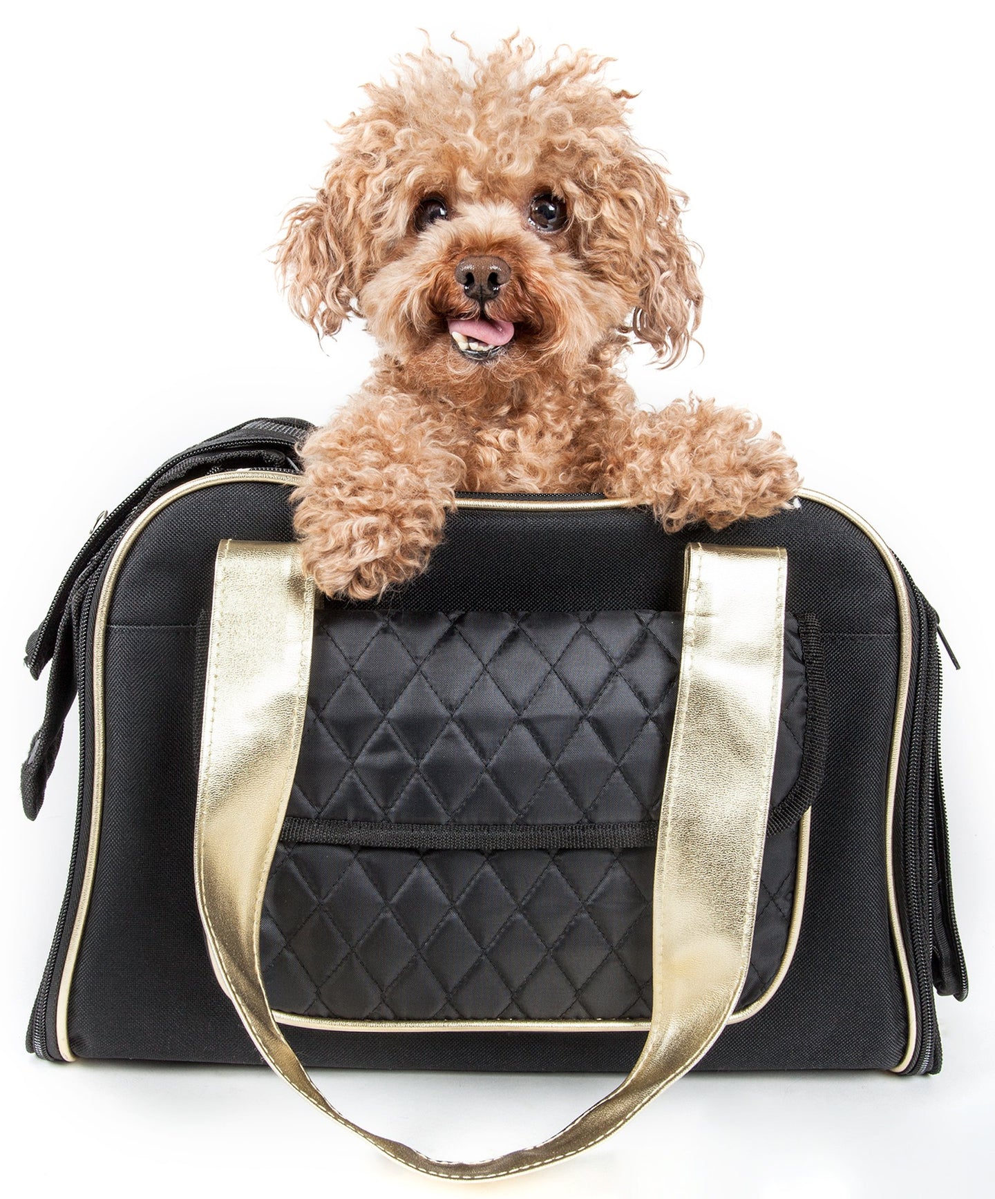 dog carrier,dog carriers,pet carrier,pet carriers,dog travel,pet travel,airline pet carrier,airline dog carrier,dog crate,fashion handbag,airline approved pet carrier,folding pet carrier,pet fashion,designer dog carrier,pet life