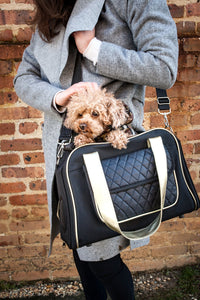 dog carrier,dog carriers,pet carrier,pet carriers,dog travel,pet travel,airline pet carrier,airline dog carrier,dog crate,fashion handbag,airline approved pet carrier,folding pet carrier,pet fashion,designer dog carrier,pet life