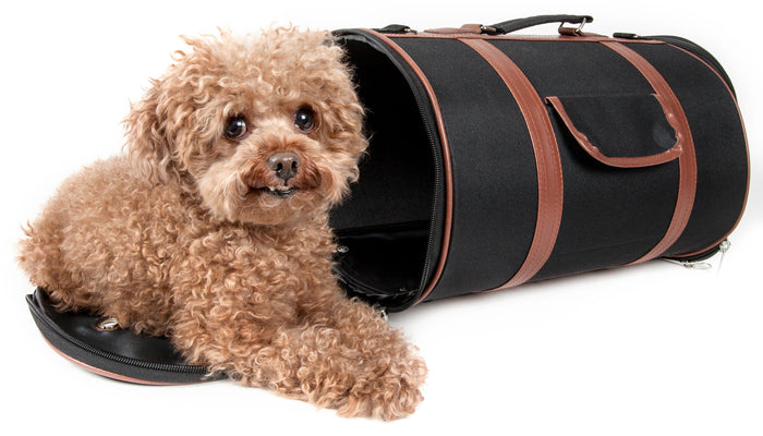 Pet Life Airline Approved Fashion Cylinder Posh Pet Carrier - Doggy Sauce