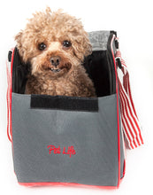 Pet Life Candy Cane' Fashion Pet Carrier - Doggy Sauce