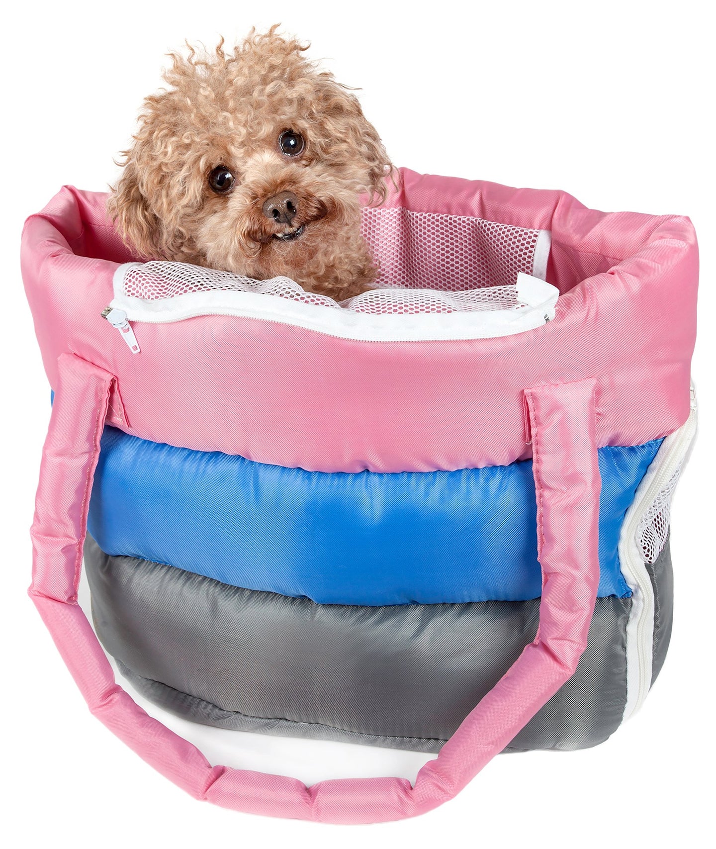 Pet Life Bubble-Poly Tri-Colored insulated Pet Carrier - Doggy Sauce