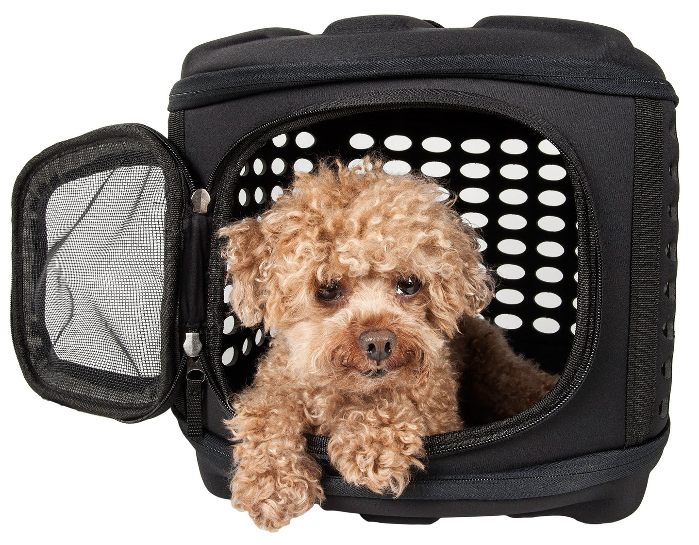 Pet Life Circular Shelled Perforate Lightweight Collapsible Military Grade Transporter Pet Carrier - Doggy Sauce