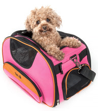 Pet Life Airline Approved Sky-Max Modern Collapsible Pet Carrier - Doggy Sauce