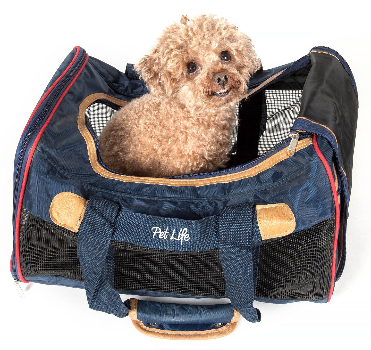 dog carrier,dog carriers,pet carrier,pet carriers,dog travel,pet travel,airline pet carrier,airline dog carrier,dog crate,fashion handbag,airline approved pet carrier,folding pet carrier,pet fashion,designer dog carrier,pet life