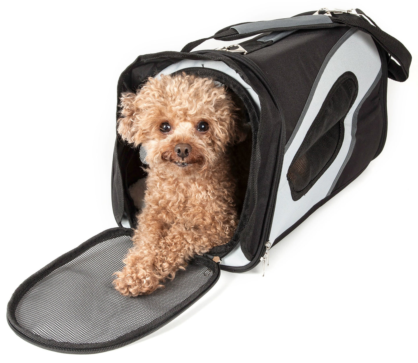 Pet Life Airline Approved Phenom-Air Collapsible Pet Carrier - Doggy Sauce