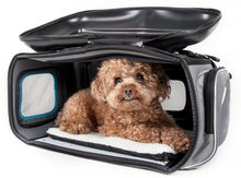 Pet Life The Airline Approved Collapsible Lightweight Ergo Stow-Away Contoured Pet Carrier - Doggy Sauce