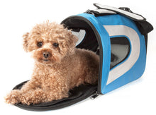 Pet Life Airline Approved Folding Zippered Sporty Mesh Pet Carrier - Doggy Sauce