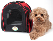 Pet Life Airline Approved Folding Zippered Sporty Mesh Pet Carrier - Doggy Sauce