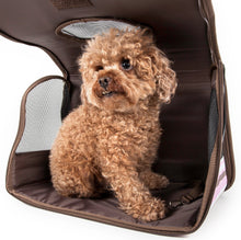 Pet Life Airline Approved Folding Zippered Sporty Cage Pet Carrier - Doggy Sauce