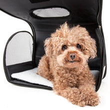 Pet Life Airline Approved Folding Zippered Sporty Cage Pet Carrier - Doggy Sauce