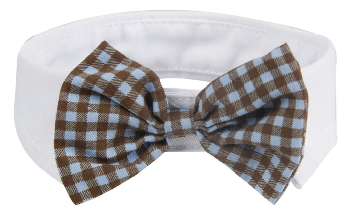 dog bowtie,pet bowtie,dog bowie,pet bowtie,dog tie,tie for dogs,dog fashion,fashion bow tie,designer dog tie,dog fashion,pet fashion,dog clothes,dog clothing,fashion pet,pet life