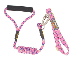 Helios Dura-Tough Easy Tension 3M Reflective Pet Leash and Collar - Doggy Sauce