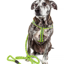 Pet Life Reflective Stitched Easy Tension Adjustable 2-in-1 Dog Leash and Harness - Doggy Sauce