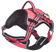 Helios Dog Chest Compression Pet Harness and Leash Combo - Doggy Sauce