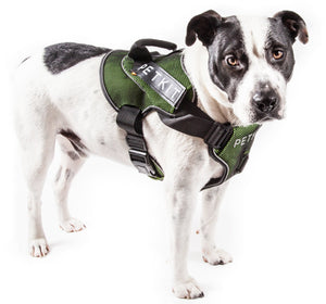 Petkit Air Quad-Connecting Adjustable Cushioned Chest Compression Dog Harness - Doggy Sauce