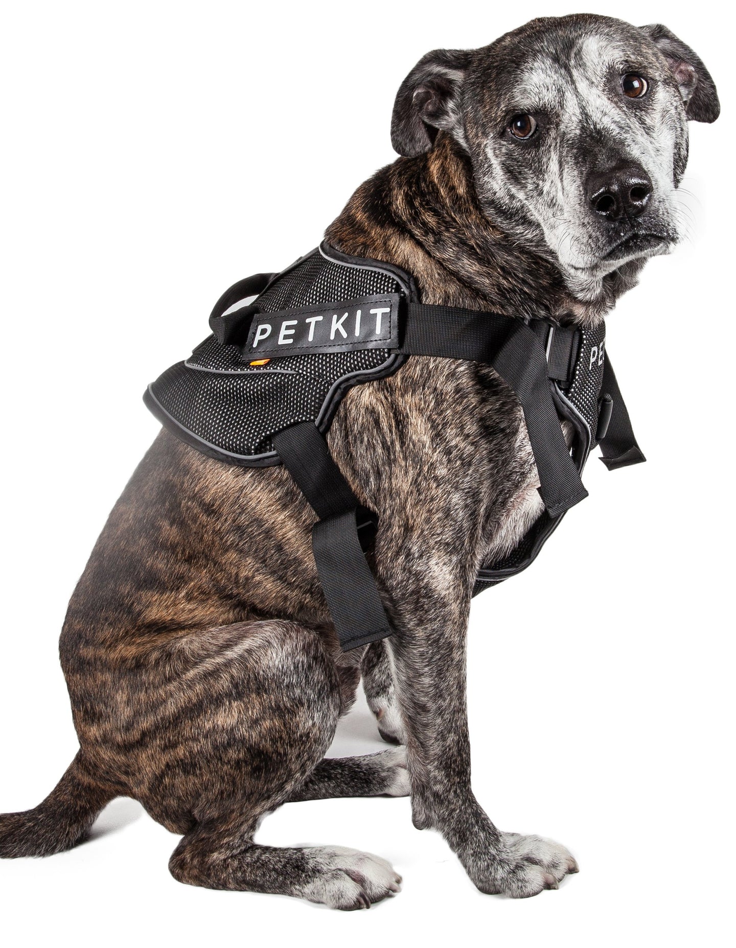 Petkit Air Quad-Connecting Adjustable Cushioned Chest Compression Dog Harness - Doggy Sauce