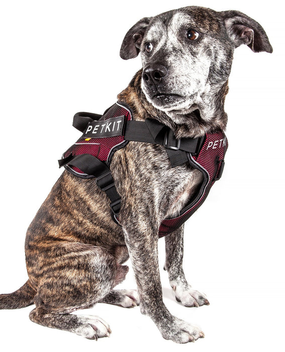 Petkit Air Quad-Connecting Adjustable Cushioned Chest Compression Dog Harness - Doggy Sauce