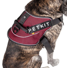 Petkit Air Quad-Connecting Adjustable Cushioned Chest Compression Dog Harness - Doggy Sauce