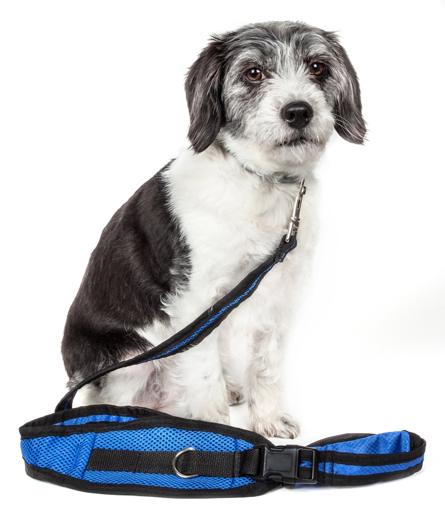 Pet Life Echelon Hands Free And Convertible 2-In-1 Training Dog Leash And Pet Belt With Pouch - Doggy Sauce