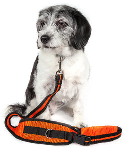Pet Life Echelon Hands Free And Convertible 2-In-1 Training Dog Leash And Pet Belt With Pouch - Doggy Sauce