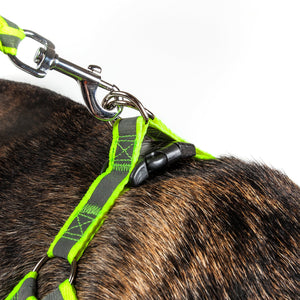 Pet Life Reflective Stitched Easy Tension Adjustable 2-in-1 Dog Leash and Harness - Doggy Sauce