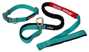 Dog Helios Neo-Indestructible Easy-Tension Sporty Embroidered Thick Durable Pet Dog Leash And Collar - Doggy Sauce