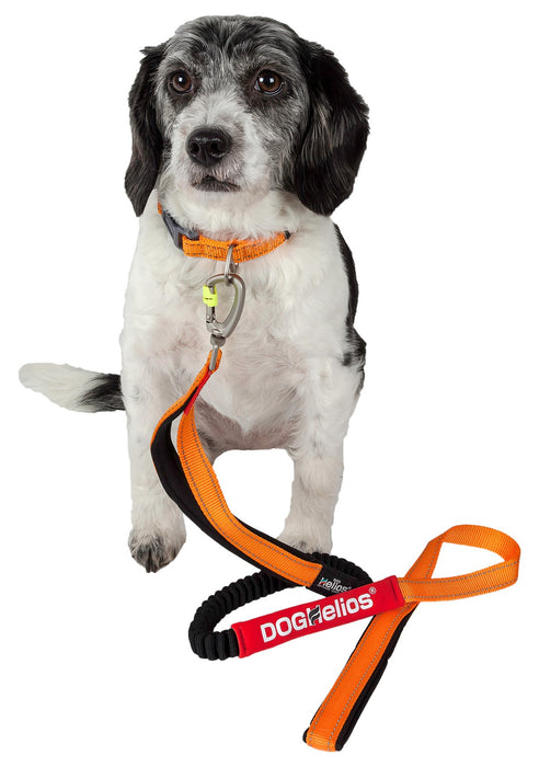 Dog Helios Neo-Indestructible Easy-Tension Sporty Embroidered Thick Durable Pet Dog Leash And Collar - Doggy Sauce