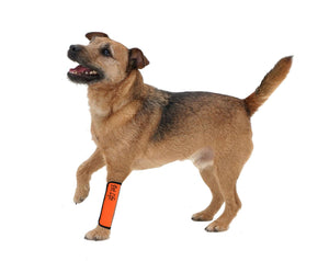 Pet Life Extreme-Neoprene Joint Protective Reflective Pet Sleeves - Doggy Sauce