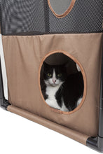 cat tree,cat house,kitty tree,cat teaser,cat maze,cat tunnel,collapsible cat tree,folding cat tree,cat lounge,kitty lounge,cat lounger,travel cat house,cat toys,kitty tunnel,pet life