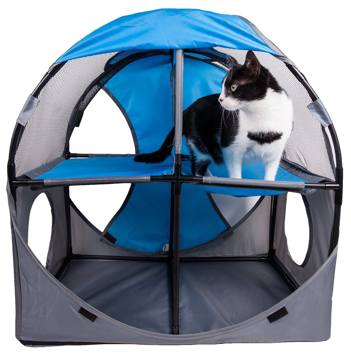 cat tree,cat house,kitty tree,cat teaser,cat maze,cat tunnel,collapsible cat tree,folding cat tree,cat lounge,kitty lounge,cat lounger,travel cat house,cat toys,kitty tunnel,pet life