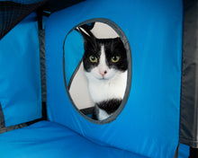 cat tree,cat house,kitty tree,cat teaser,cat maze,cat tunnel,collapsible cat tree,folding cat tree,cat lounge,kitty lounge,cat lounger,travel cat house,cat toys,kitty tunnel,pet life