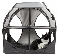 cat tree,cat house,kitty tree,cat teaser,cat maze,cat tunnel,collapsible cat tree,folding cat tree,cat lounge,kitty lounge,cat lounger,travel cat house,cat toys,kitty tunnel,pet life