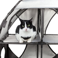 cat tree,cat house,kitty tree,cat teaser,cat maze,cat tunnel,collapsible cat tree,folding cat tree,cat lounge,kitty lounge,cat lounger,travel cat house,cat toys,kitty tunnel,pet life