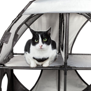 cat tree,cat house,kitty tree,cat teaser,cat maze,cat tunnel,collapsible cat tree,folding cat tree,cat lounge,kitty lounge,cat lounger,travel cat house,cat toys,kitty tunnel,pet life