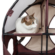 cat tree,cat house,kitty tree,cat teaser,cat maze,cat tunnel,collapsible cat tree,folding cat tree,cat lounge,kitty lounge,cat lounger,travel cat house,cat toys,kitty tunnel,pet life