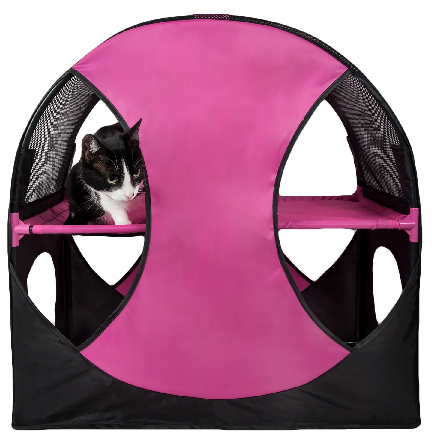 cat tree,cat house,kitty tree,cat teaser,cat maze,cat tunnel,collapsible cat tree,folding cat tree,cat lounge,kitty lounge,cat lounger,travel cat house,cat toys,kitty tunnel,pet life